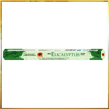 Eucalyptus